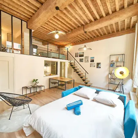 Apartamento Le Chartreux -canut Lyonnais -croix Rousse Lyon